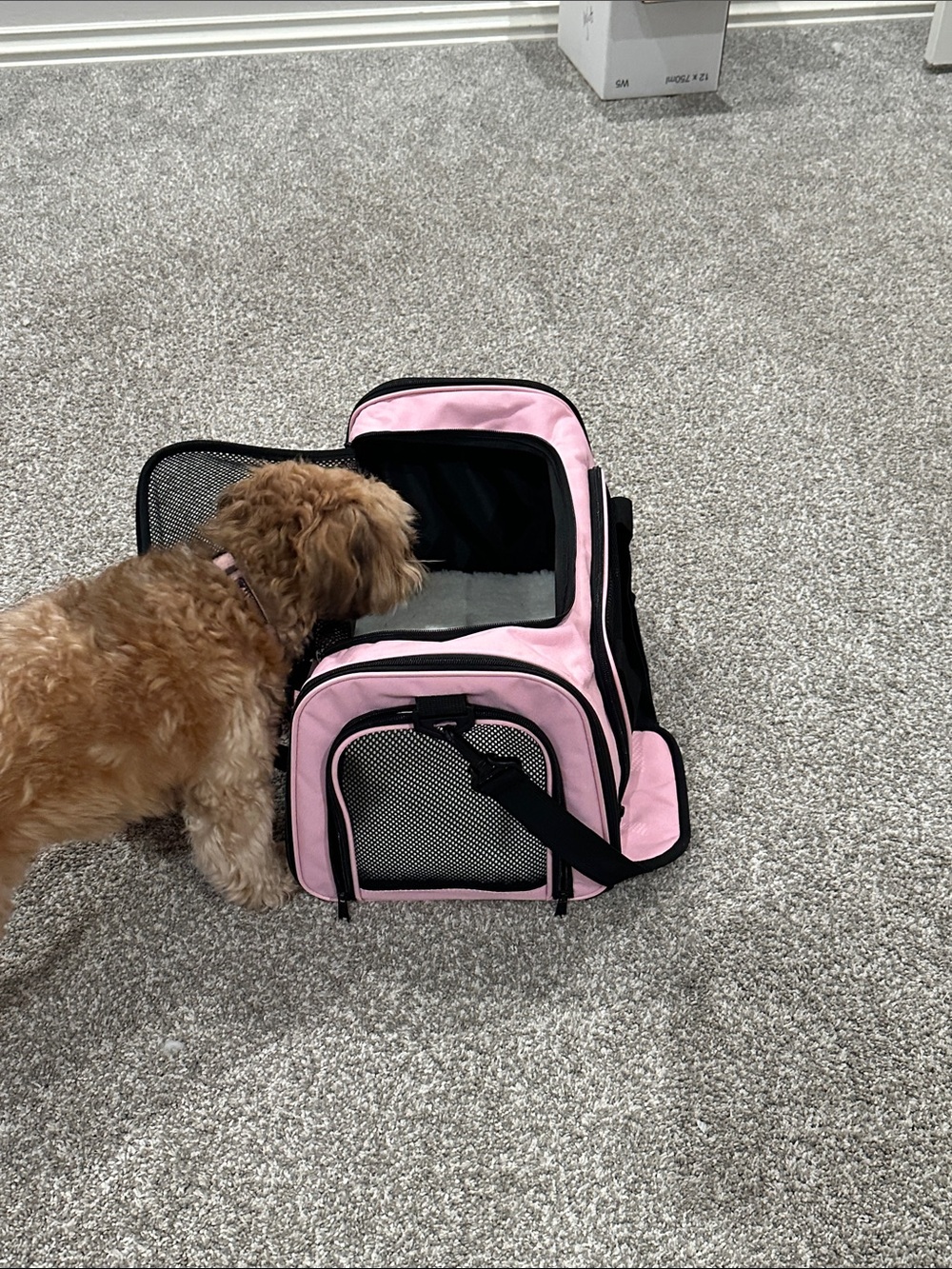Pet Travel Carrier Bag - Pink